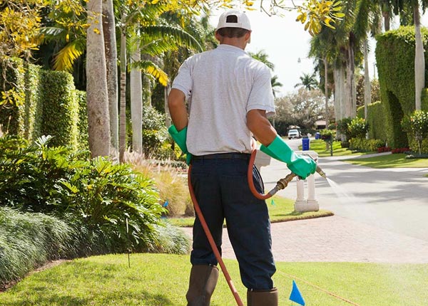 About Mount Pleasant NC Pest Control Pros